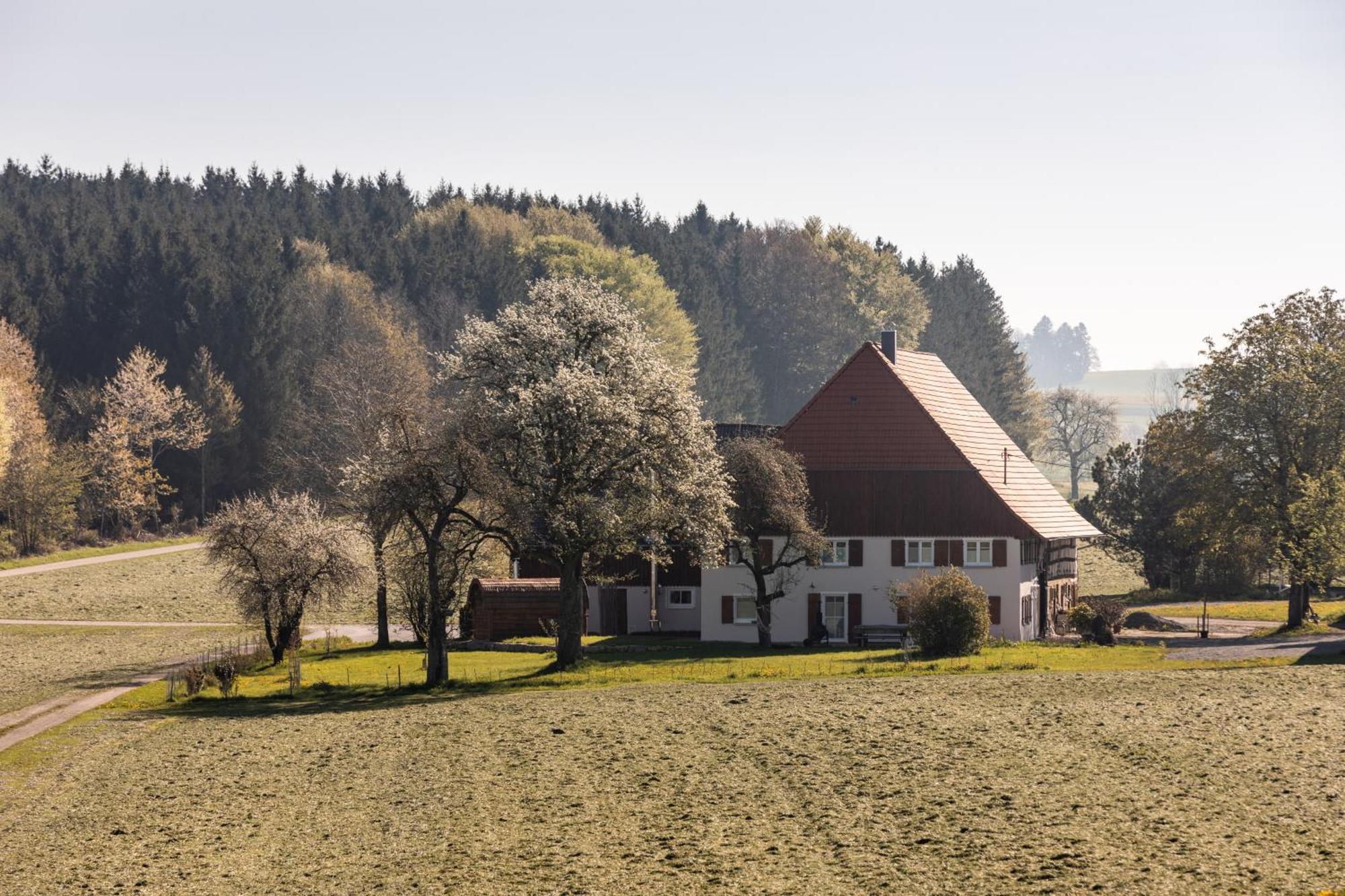 Ferienhof Greuthof Bad Wurzach Exteriér fotografie